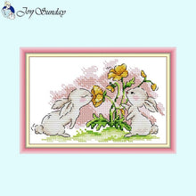 Load image into Gallery viewer, Cartoon Rabbit Kit DIY Kids Handmade - AIMDIY