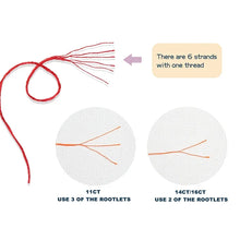 Load image into Gallery viewer, DIY Floral Pattern Cross Stitch Kit Flowers and Horse Lamps - AIMDIY