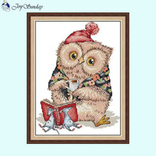 Load image into Gallery viewer, Learning Owl - AIMDIY