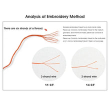 Load image into Gallery viewer, Oil Lamp & Bookshelf Still Life Cross Stitch Kit - Vintage Motif DIY Embroidery Set for Adults & Beginners