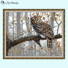 Load image into Gallery viewer, Owl in Tree Animal Cross Stitch - AIMDIY