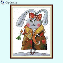 Load image into Gallery viewer, Rich Rabbit - AIMDIY