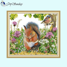 Load image into Gallery viewer, Squirrel and Bird Crafts - AIMDIY