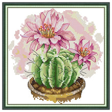 Load image into Gallery viewer, Cactus Plant Cross Stitch Kit – Counted & Stamped Floral Embroidery Needlework for Beginners