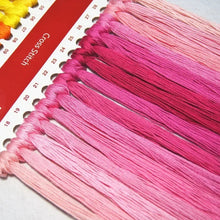 Load image into Gallery viewer, DMC threads and Aida fabric for Christmas Day Reunion embroidery