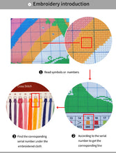 Load image into Gallery viewer, Joy Sunday Cute Owl Cross Stitch DIY Christmas gift
