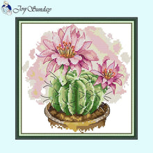 Load image into Gallery viewer, Potted Plants Joy Sunday Cross Stitch Kits DIY Kids - AIMDIY
