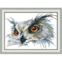 Load image into Gallery viewer, Joy Sunday Cute Owl Cross Stitch DIY Christmas gift
